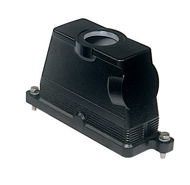 MGV 24.325 - Ilme